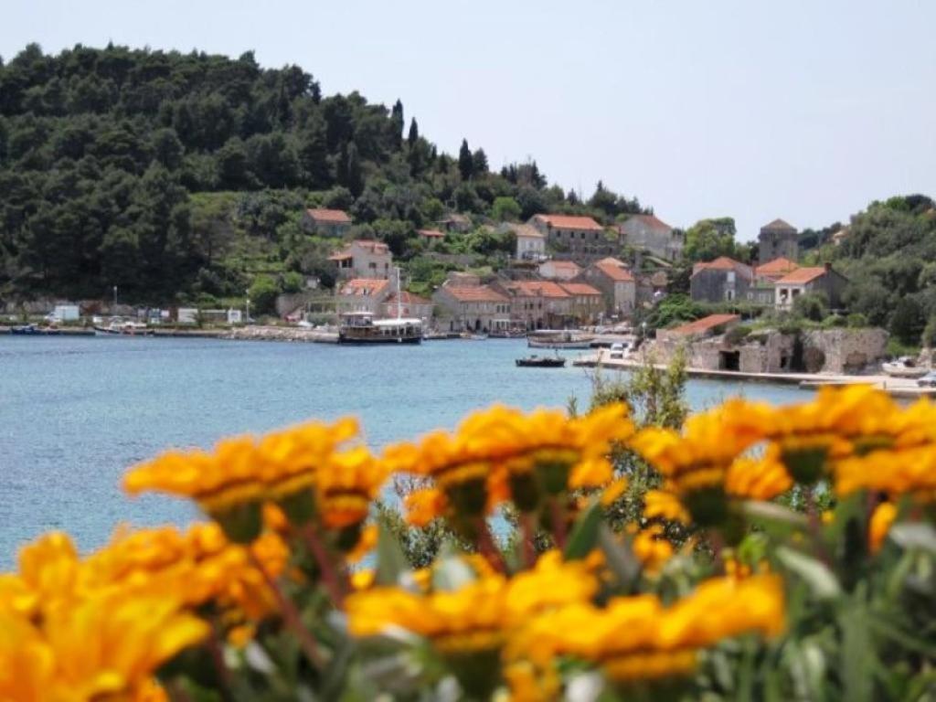 Guest House Simunovic Sudurad Exterior foto